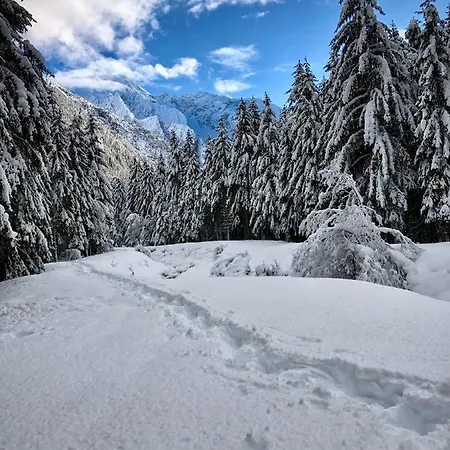 Appartamento Casa Paradiso *
